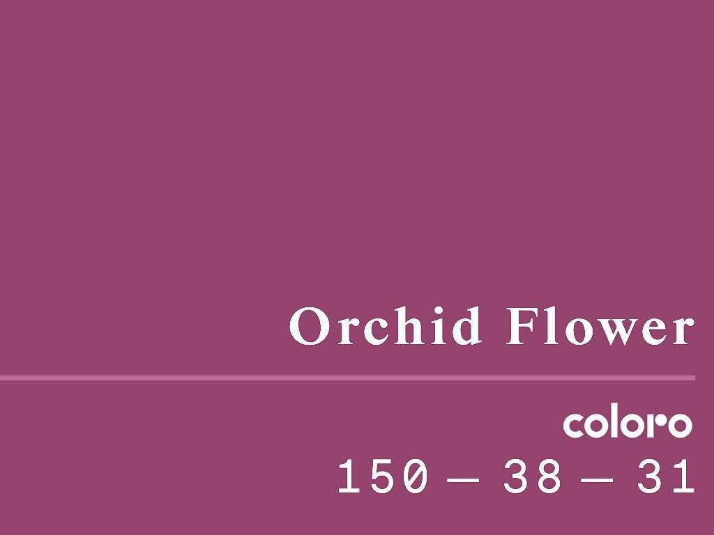 Cor Orchid Flower. Clique na imagem e confira uma coleção inspirada nas cores da Primavera/Verão! (Foto: Reprodução/Instagram @coloro_).