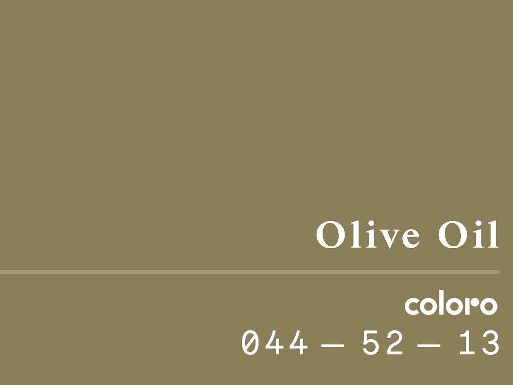 Cor Olive Oil. Clique na imagem e confira uma coleção inspirada nas cores da Primavera/Verão! (Foto: Reprodução/Instagram @coloro_).