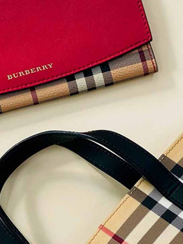 cropped-Succession-da-HBO-impulsiona-a-popularidade-das-bolsas-Burberry.jpg