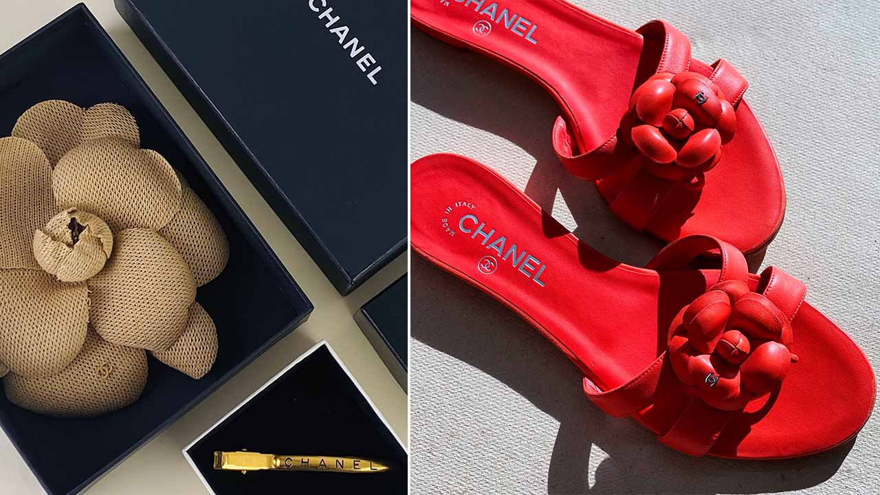 Camélia é o símbolo da Chanel uma das marcas de luxo mais famosas do mundo.