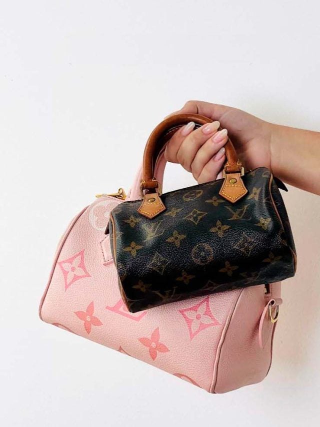 mini-bags-modelos-de-bolsas-pequenas-para-2024-louis-vuitton