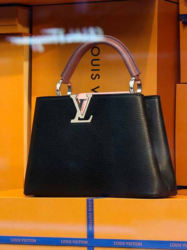 Dia das Mães: O Guia Completo de Bolsas Louis Vuitton para Presentear