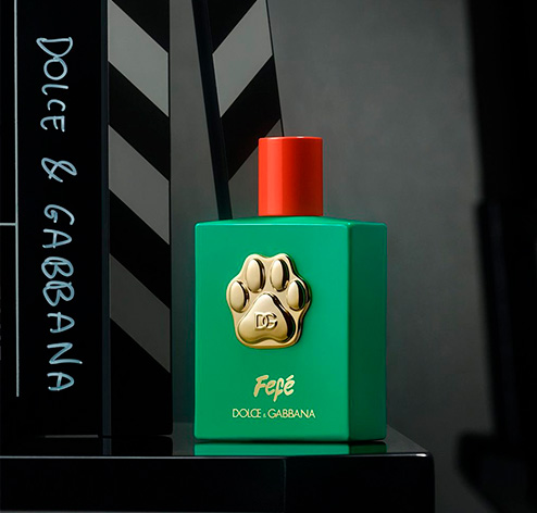 Foto do Fefé o perfume da Dolce & Gabbana para cachorros.