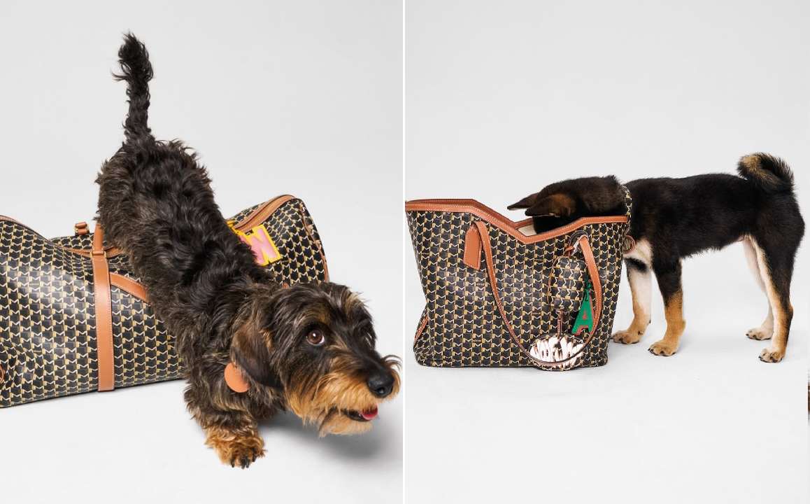 Montagem de fotos de cães nas bolsas da marca de luxo francesa Moynat que lançou uma coleção dedicada aos pets.