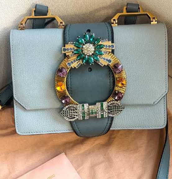 Foto da Bolsa Miu Miu Madras Sof Calf Crystal uma das novidades das marcas de luxo no Etiqueta Única.