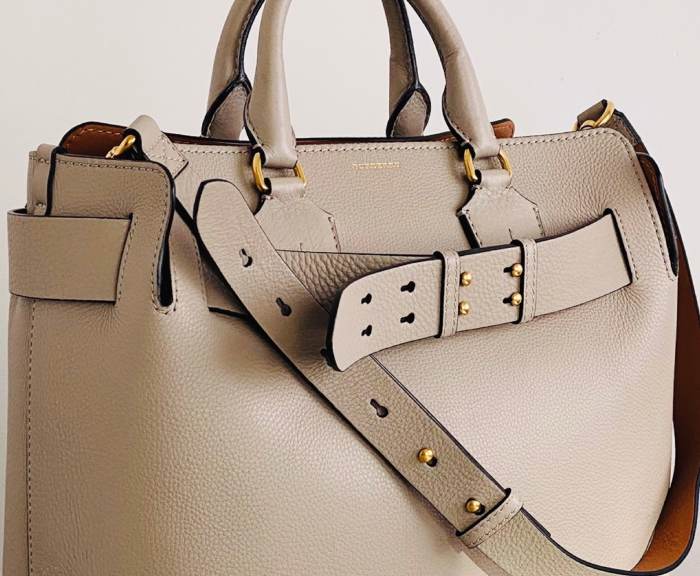 Foto de bolsa da Burberry, modelo Belt.