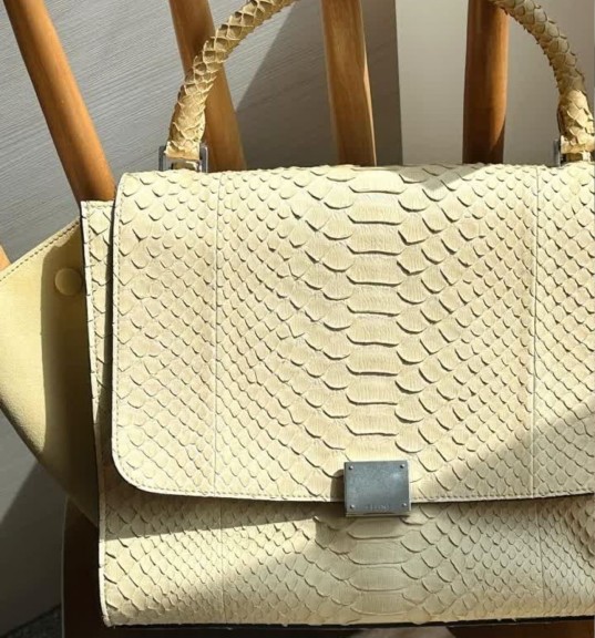 Foto da bolsa Celine Trapeze na Summer Sale.