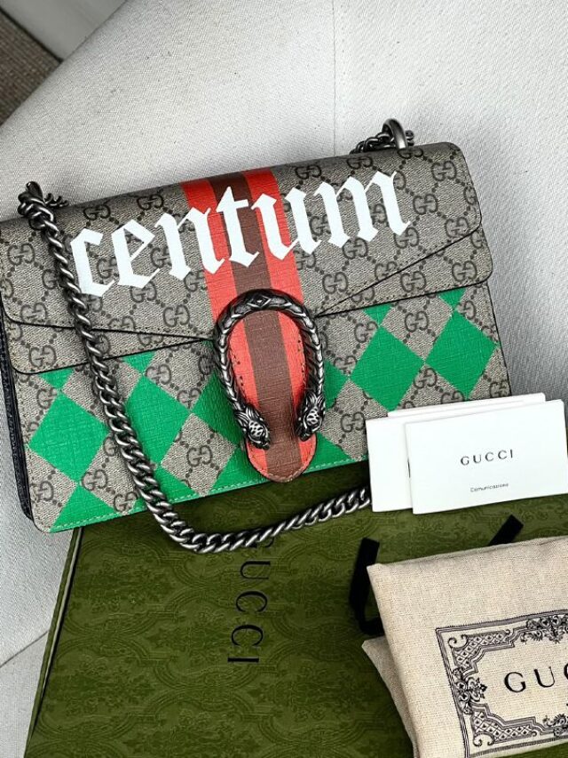 A Bolsa Mais Fashion de Cada Marca de Luxo